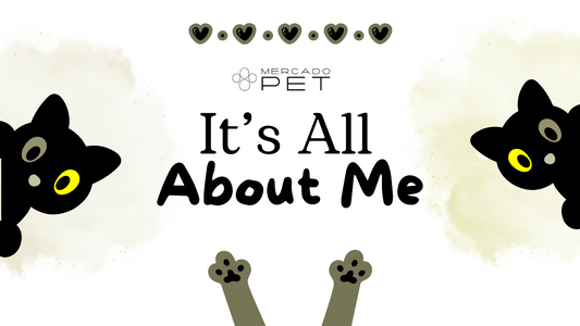 Purr-sonality Plus: Your Cat’s Unique Character 🐱💛