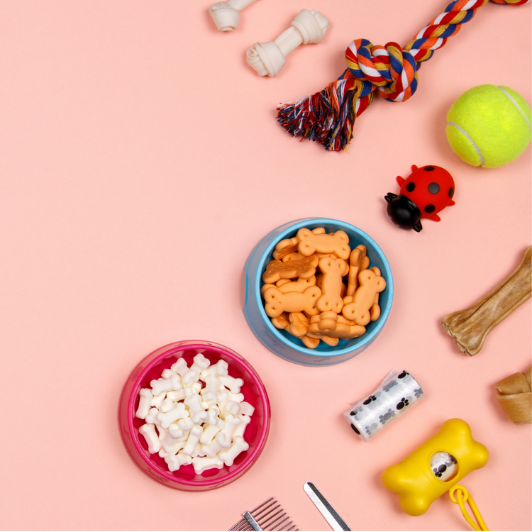 Dog Essentials