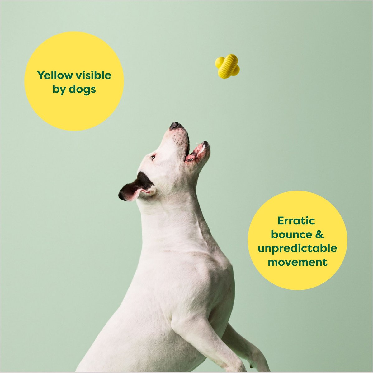 Earth Rated Rubber Ball Dog Toy Medium