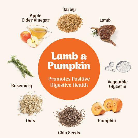 Northern Pet Softies Lamb & Pumpkin Treats Dog 170g