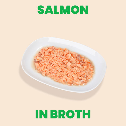 Almo Nature HQS Natural Cat Food - Salmon In Broth 70g
