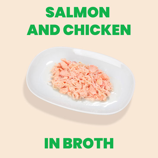 Almo Nature HQS Natural Cat Food - Salmon And Chicken In Broth 70g