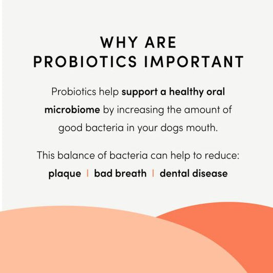 Crumps Plaque Busters Advanced Dental Sticks With Probiotics 10pc Large Dog