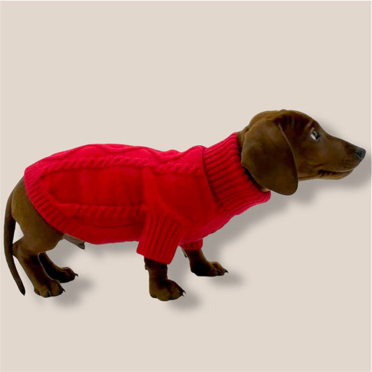 Pet Red sweater