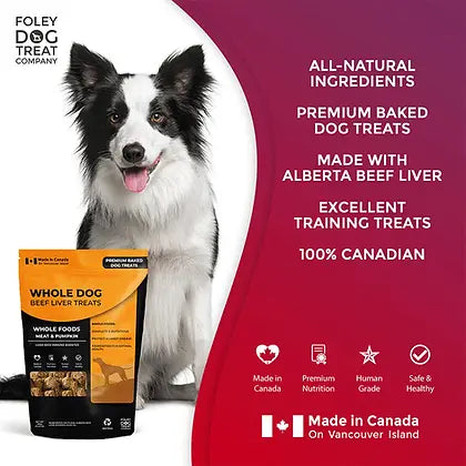 Foley's Whole Dog Meat & Pumpkin 380g