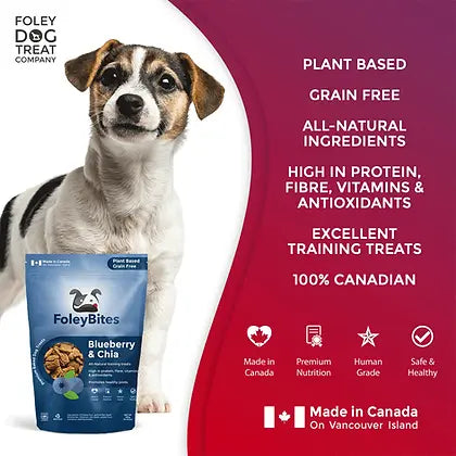 Foley's Bites Blueberry & Chia Dog Treats 400g