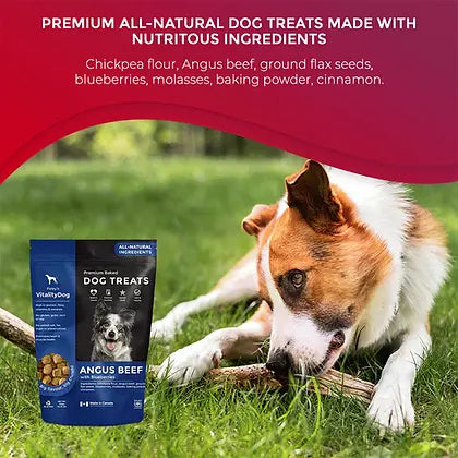 Foley's Vitality Angus Beef with Blueberries Dog Treats 400g
