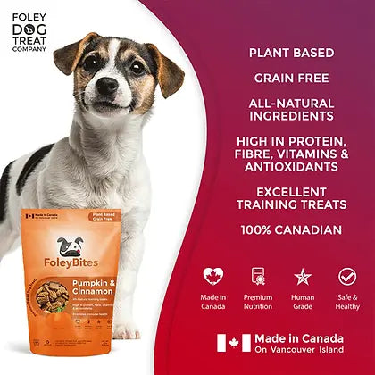 Foley's Bites Pumpkin & Cinnamon Dog Treats 400g