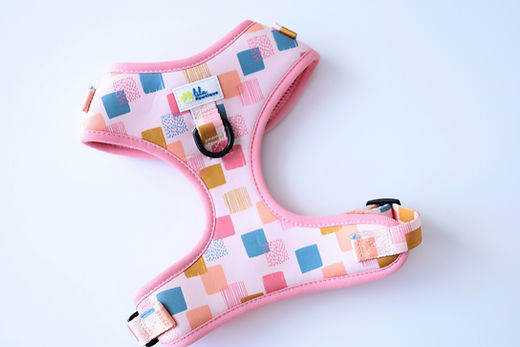 Dog Adjustable Harness Vik Fiesta | Lila Pawtique