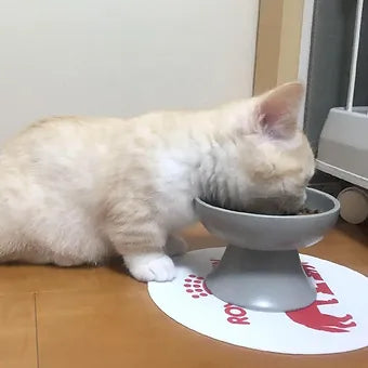 Elevated Food Bowl Feeder Small