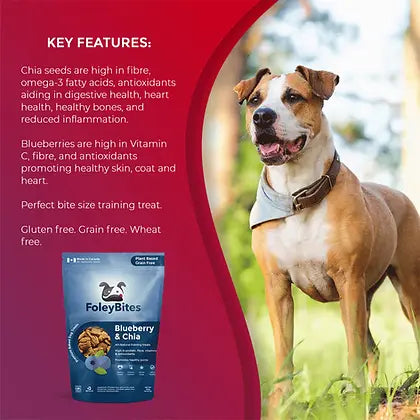 Foley's Bites Blueberry & Chia Dog Treats 400g