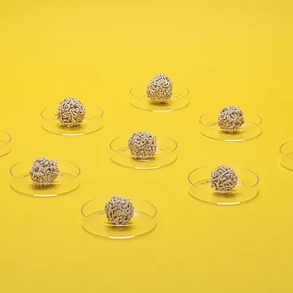 Dofu Cat Tofu Cat Litter 5.5lb