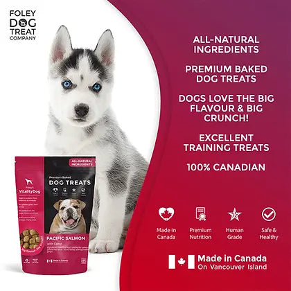 Foley's Vitality Pacific Salmon Honey Carrots Dog Treats 400g