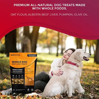 Foley's Whole Dog Meat & Pumpkin 380g