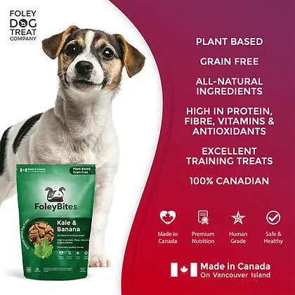 Foley's Bites Kale & Banana Dog Treats 400g
