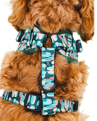 Adjustable Dog Harness Amazônia Tribe | Lila Pawtique