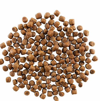 Go Hairball Control + Urinary Care Chicken Recipe with Grains Cat 3lb