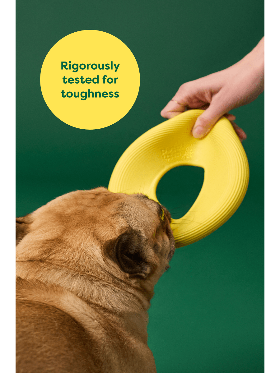 Earth Rated Flying Dog Toy