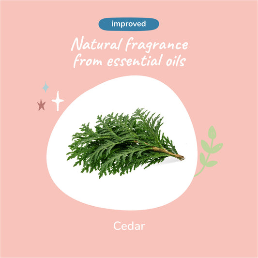 Kin+Kind Dry Skin+Coat Shampoo (Cedar) - 12oz