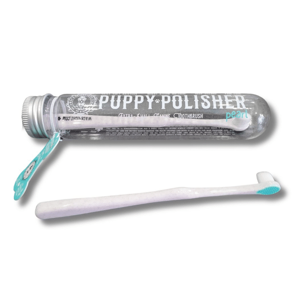 Wag & Bright Puppy Polisher Eco Toothbrush - XS