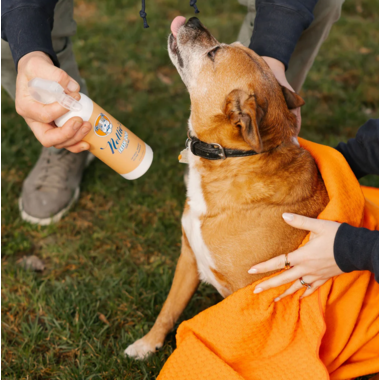 Nellie's Fresh Dog Dry Shampoo - Oatmeal Mango Scent 474ml