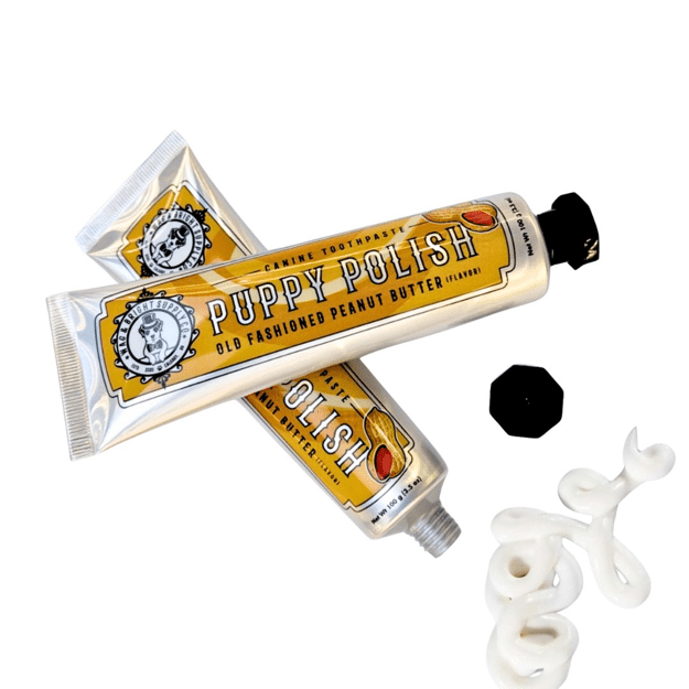 Wag & Bright Puppy Polish Toothpaste 100g - Peanut Butter Flavour