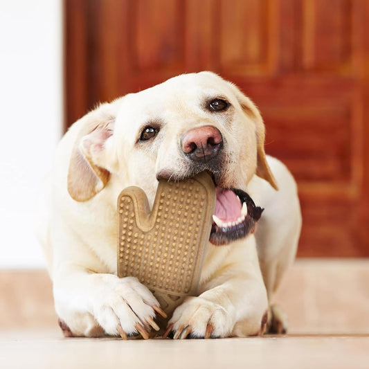 Powerbone Nylon & Bamboo Chew Oven Mitt Dog 7''