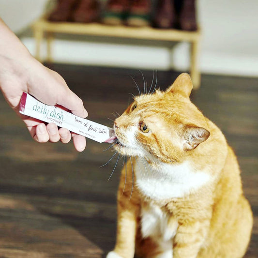 Caru Daily Dish Smoothies Chicken & Salmon Recipe for Cats 4pk