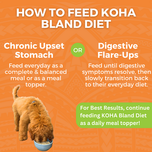KOHA Bland Diet Limited Ingredient Chicken & White Rice Recipe for Dogs 12.5oz