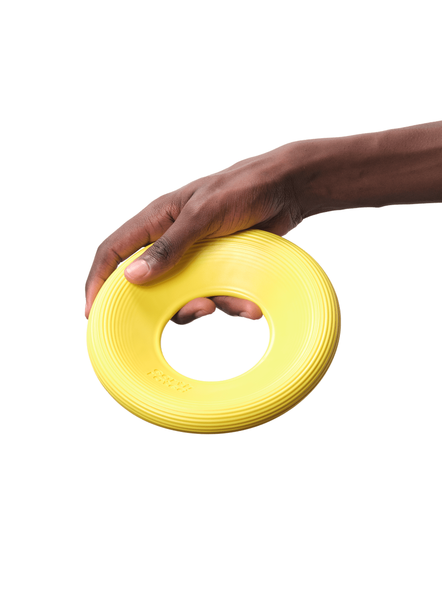 Earth Rated Flying Dog Toy