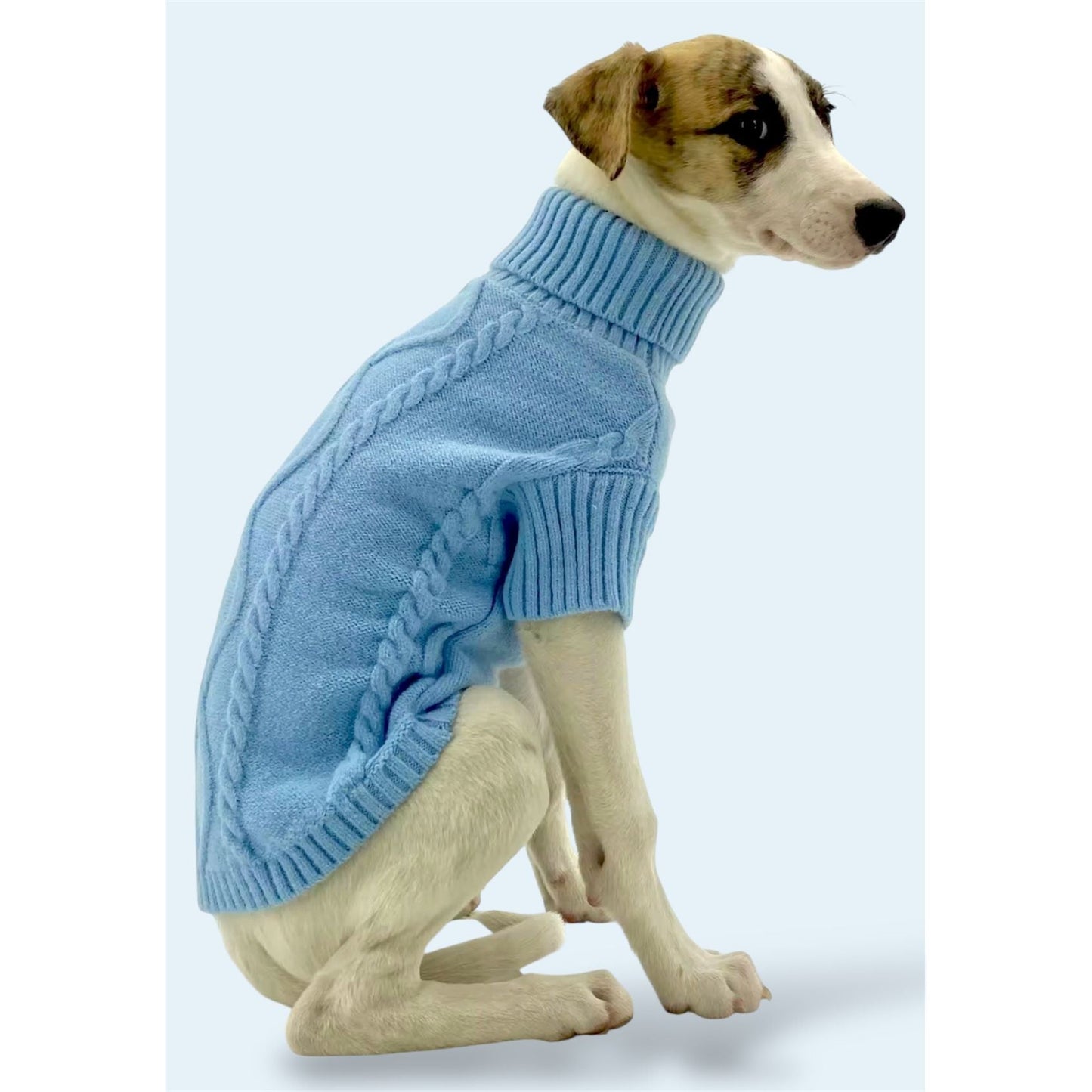 Pet Blue Sweater