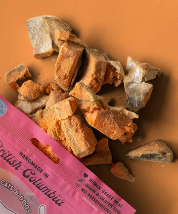 Wild Vibes Salmon & Bone Broth Treats 75g