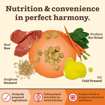 Primal Kibble in the Raw Beef Dog
