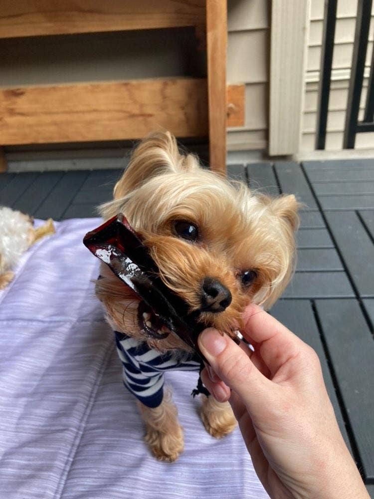 Wag & Bright Supply Co. - Mighty Marrows Collagen Dental Chew - Beef Liver LG