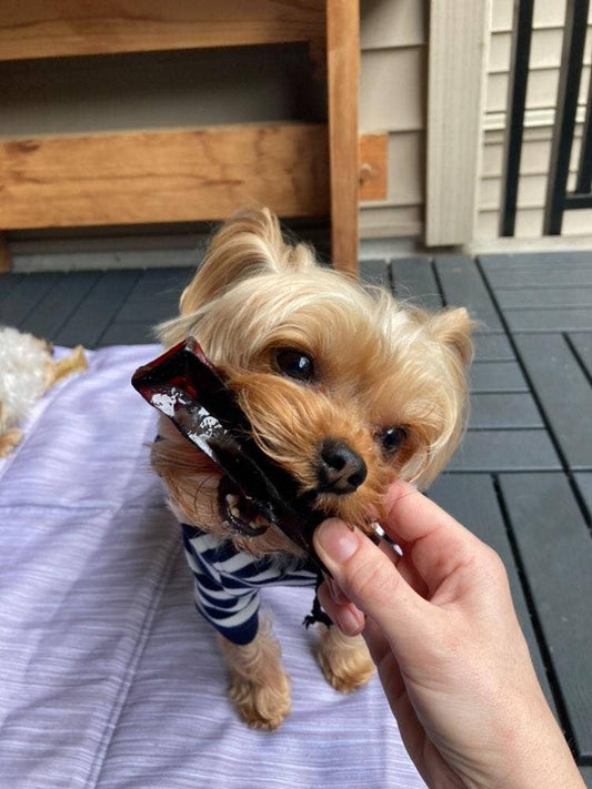 Wag & Bright Supply Co. - Mighty Marrows Collagen Dental Chew - Beef Liver LG