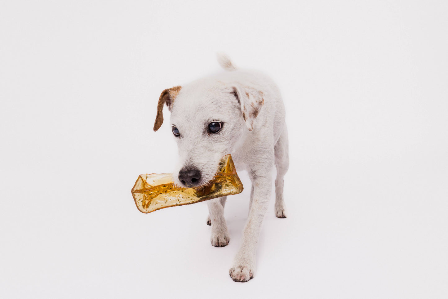 Wag & Bright Supply Co. - Mighty Marrows Collagen Dental Chew - Bacon LG