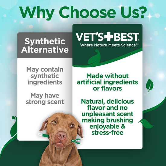 Vets Best Enzymatic Dental Toothpaste Dog 3.5oz