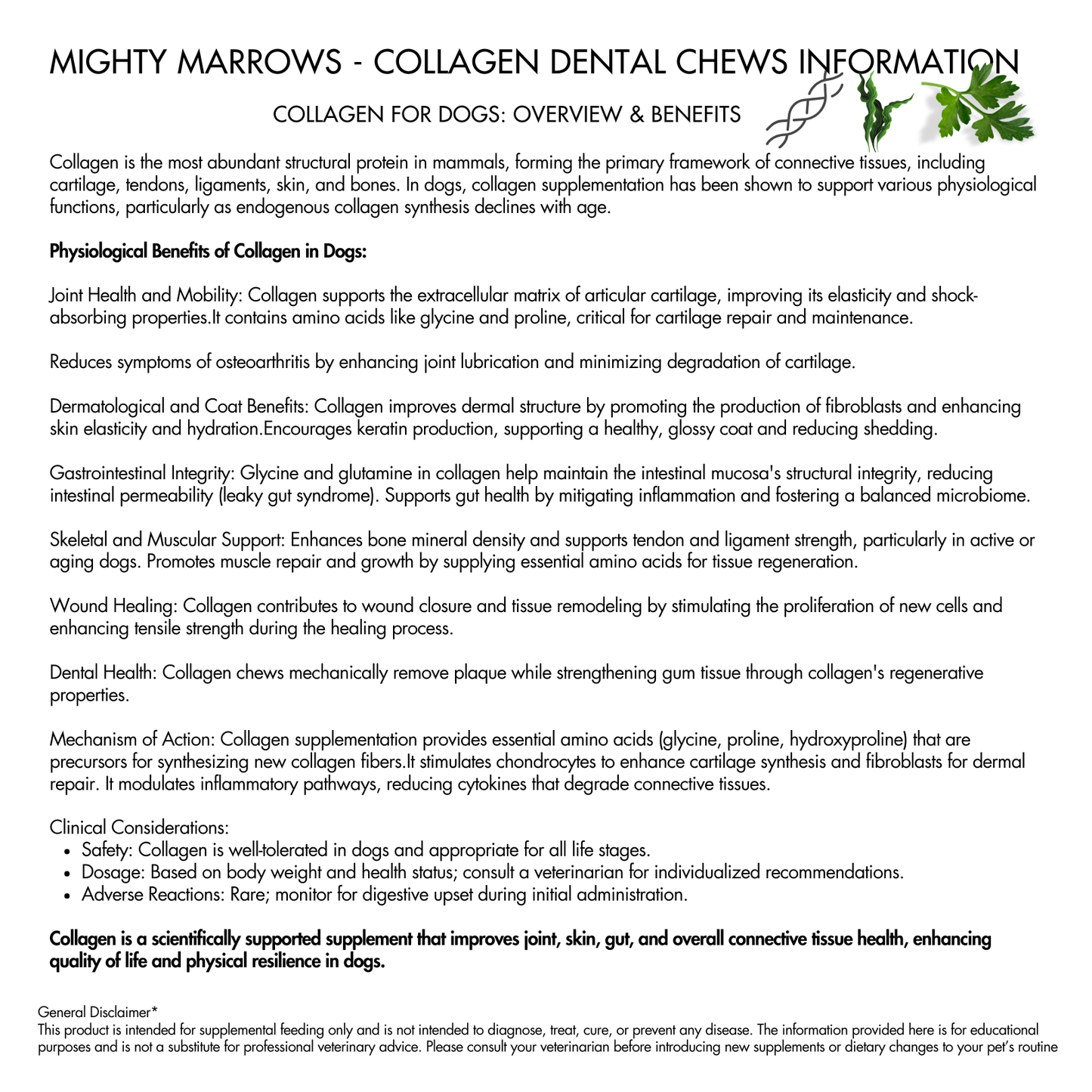 Wag & Bright Supply Co. - Mighty Marrows Collagen Dental Chew - Bacon LG