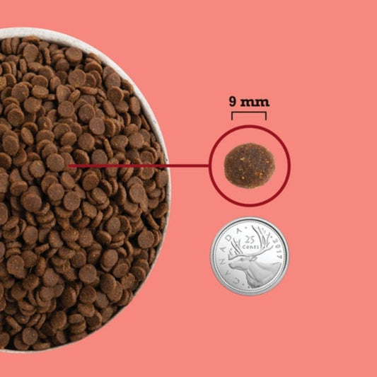 ACANA Highest Protein Indoor Cat 1.8kg