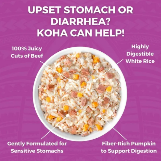 KOHA Bland Diet for Dogs Limited Ingredient Beef and White Rice 12.5 oz