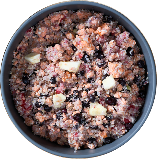 Joey's Raw Gently Steamed Salmon Bowl Dog Food