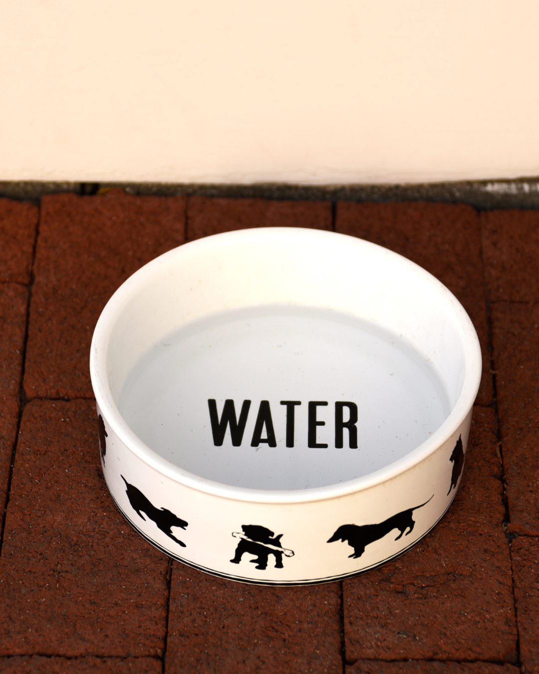 Feeders & Waterers