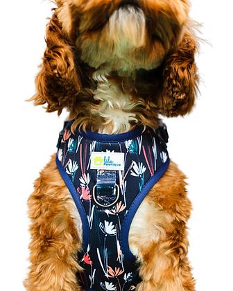 Harnesses & Leashes Sets