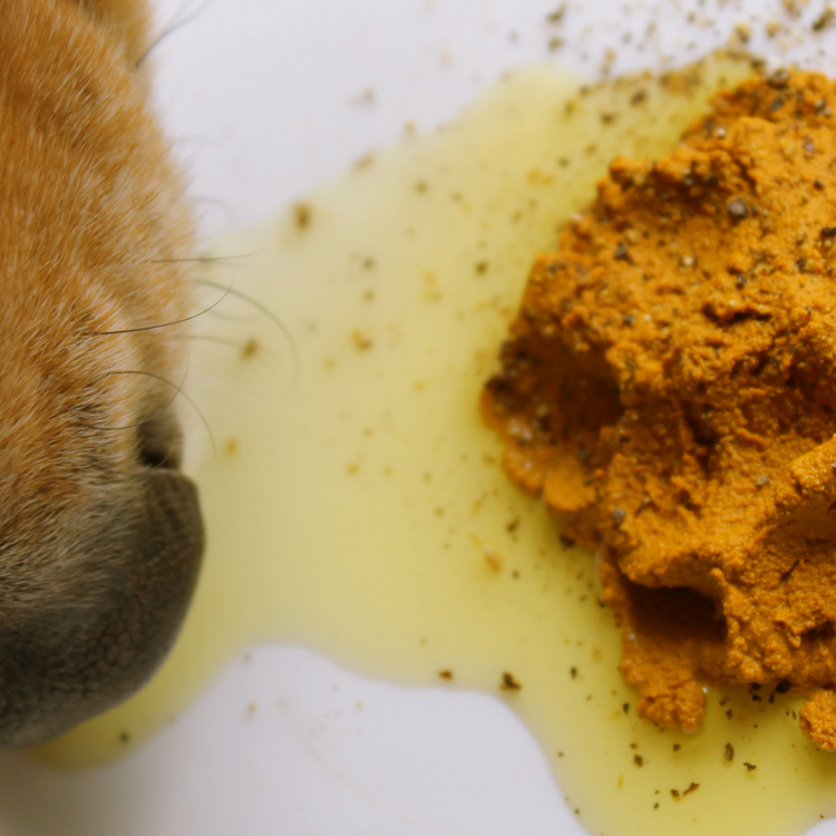 Supplements & Mixers