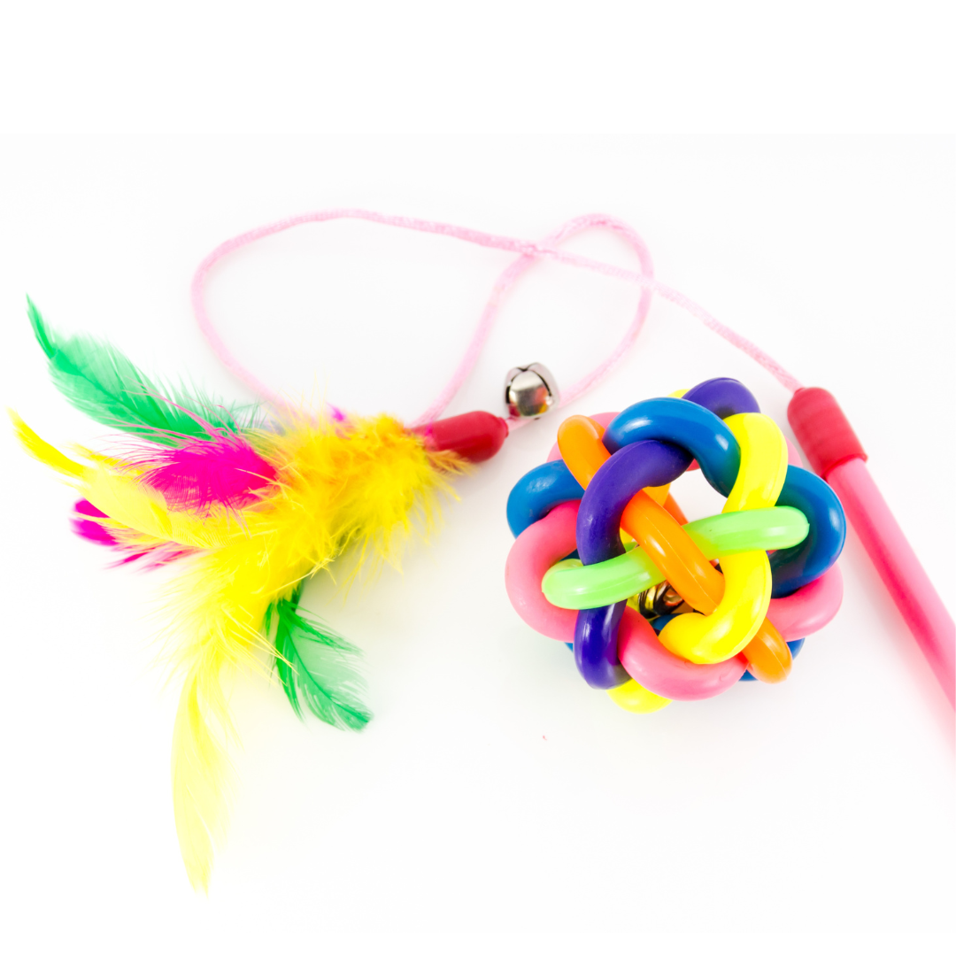 Cat Toys