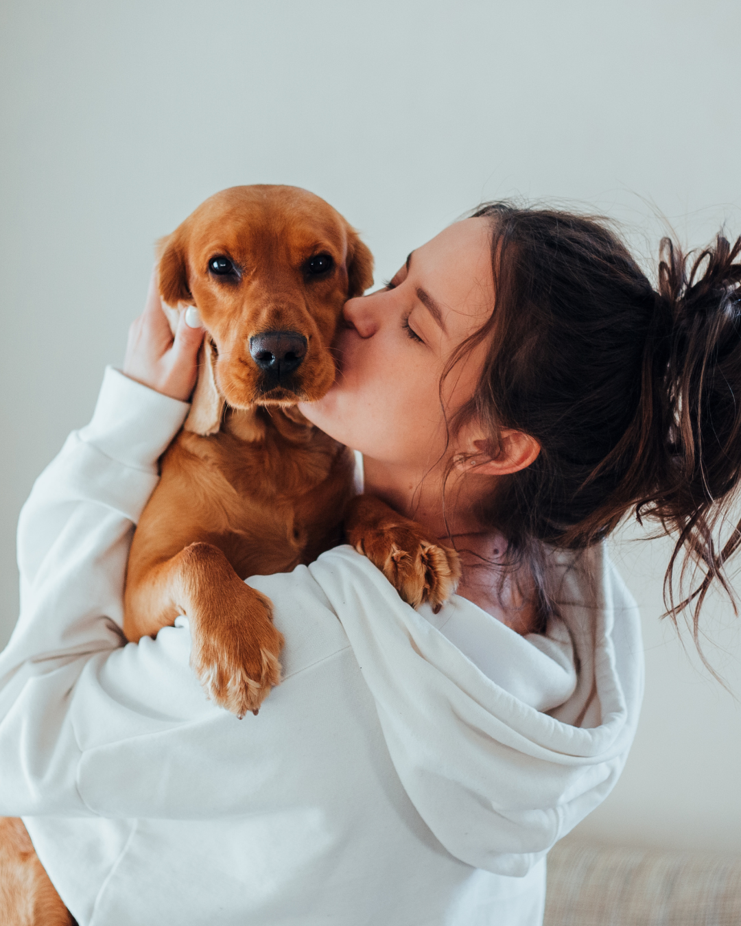For Pet Parents