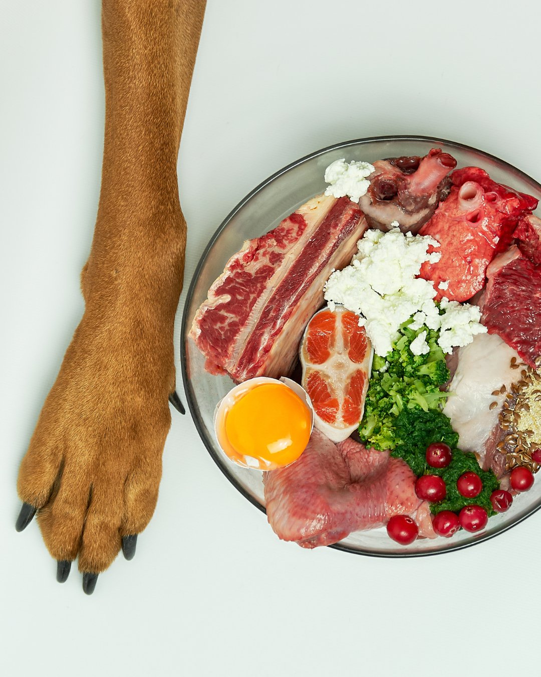 Dog Frozen Food