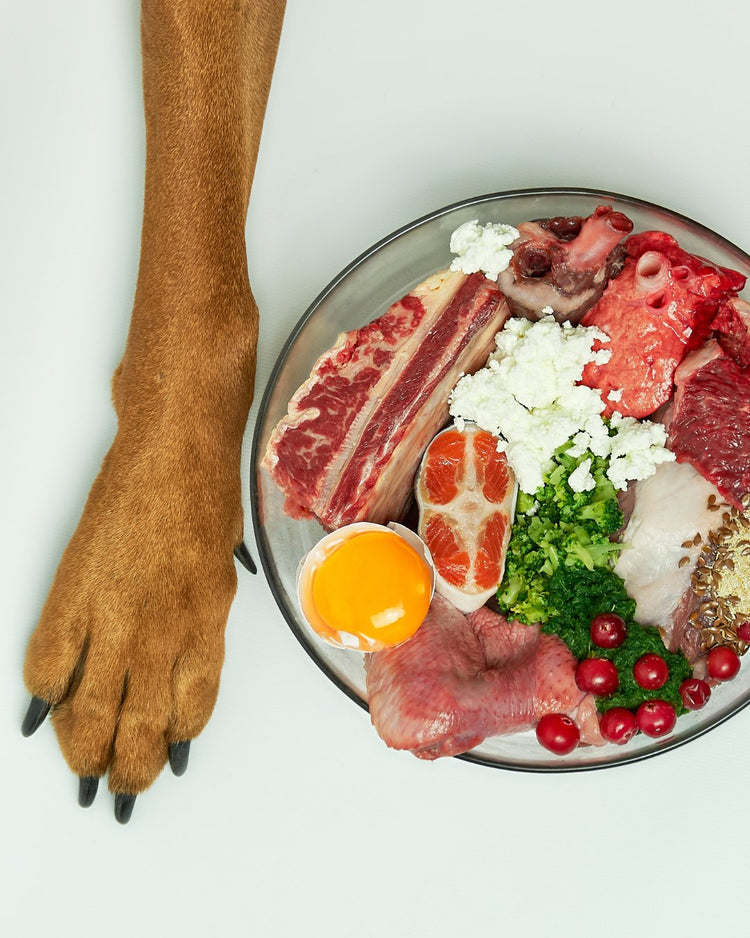 Dog Frozen Food