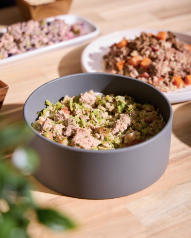 Joey's Raw Dog Food