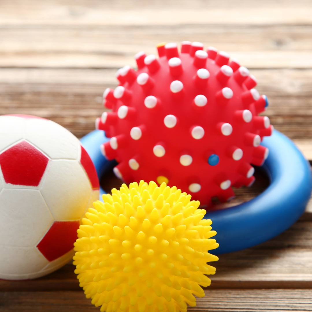 Dog Toys